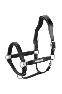 Leather Stallion Halter