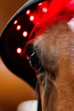 LED Rotlicht-Therapie Genickhaube