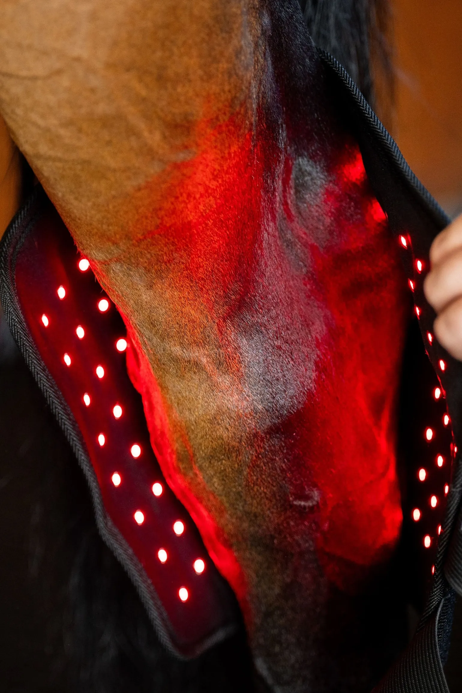 LED Rotlicht-Therapie Sprunggelenksgamasche (1 Stk.)