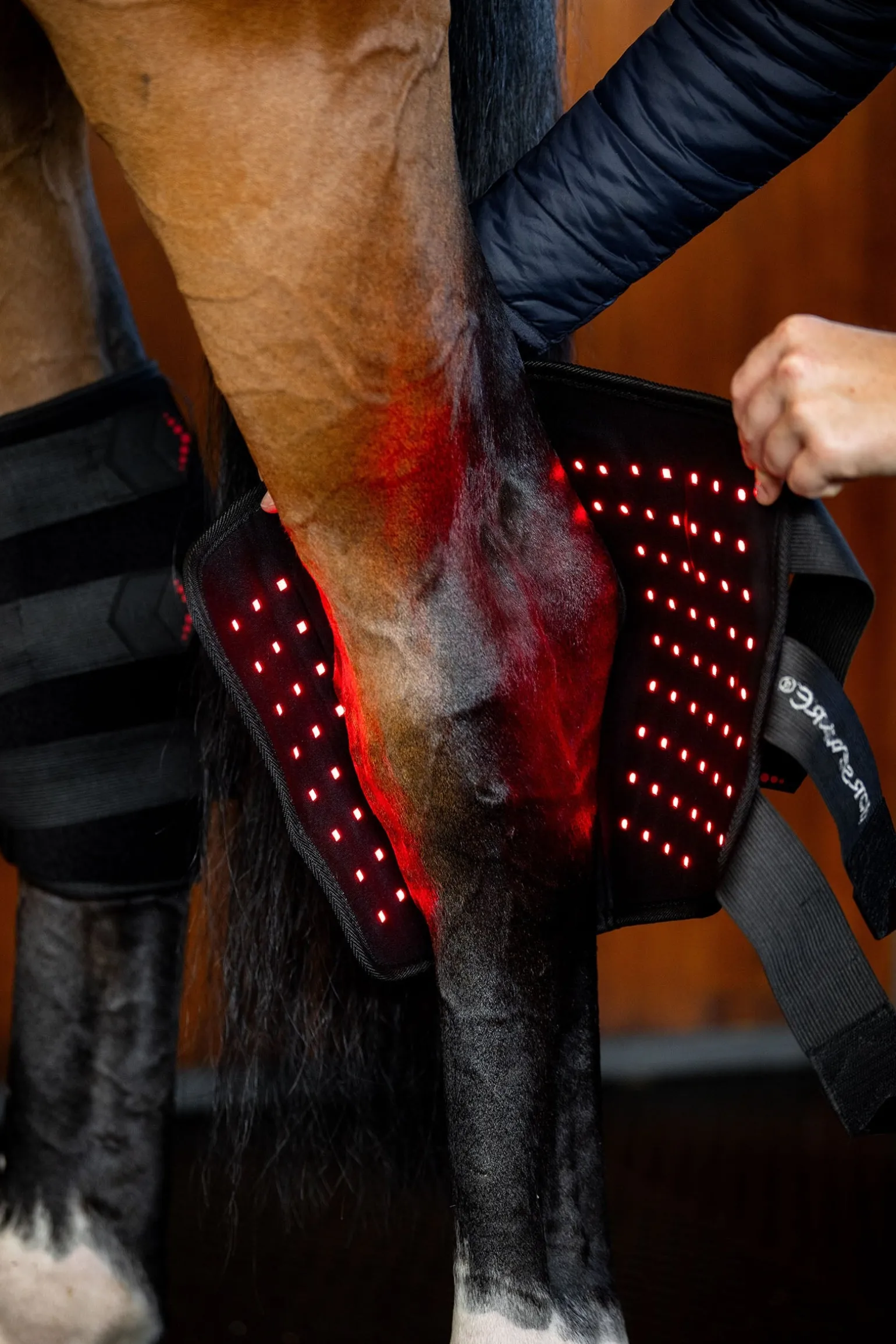 LED Rotlicht-Therapie Sprunggelenksgamasche (1 Stk.)