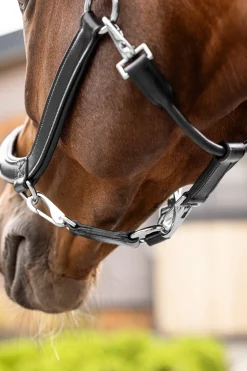 Leder Grooming Halfter