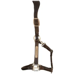 Lederhalfter Anatomic