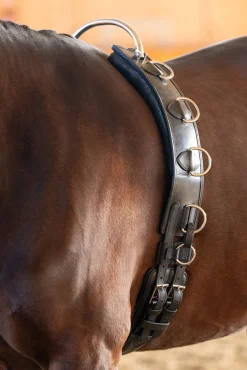 Leder-Longegurt mit Rahmen