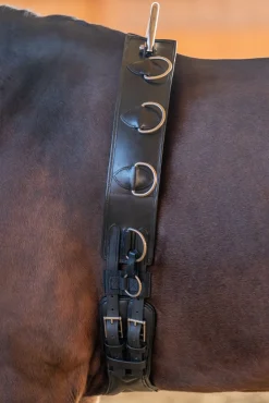 Leder-Longegurt mit Rahmen