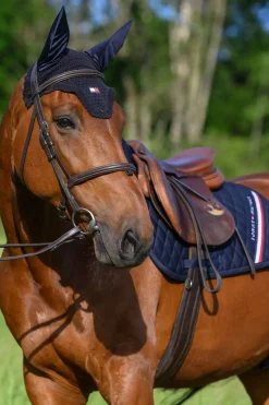 Lexington Fliegenhaube