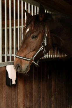 Lick-Halter für rechteckige Licks