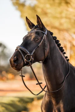 Lockhart Anatomische Trense