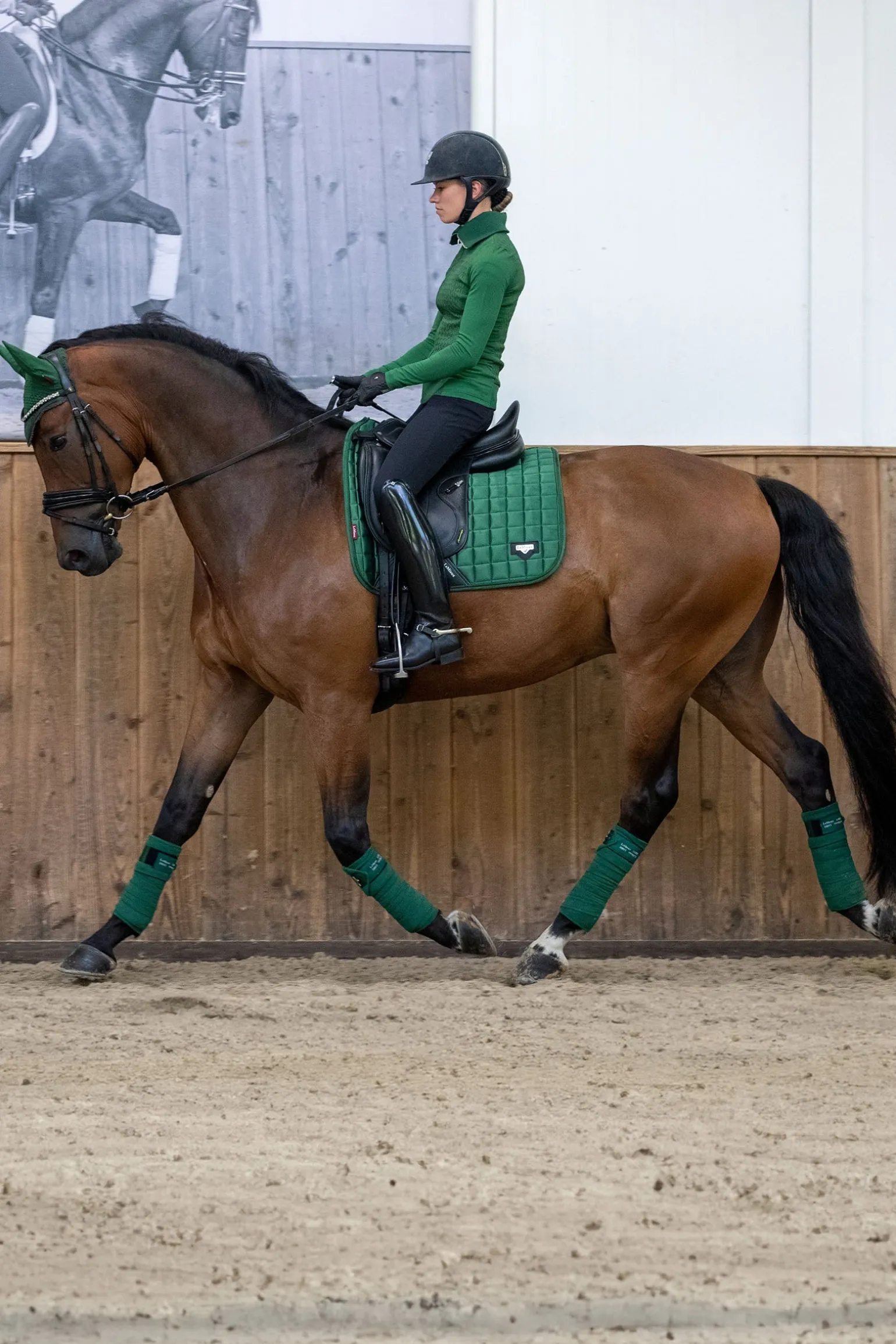 Loire Classic Dressurschabracke