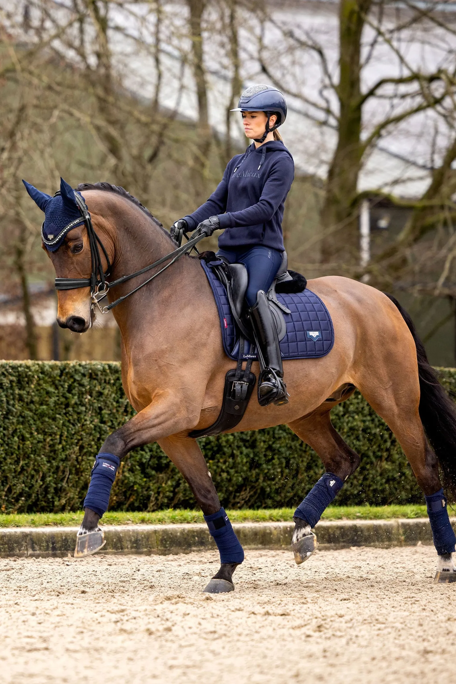 Loire Classic Dressurschabracke