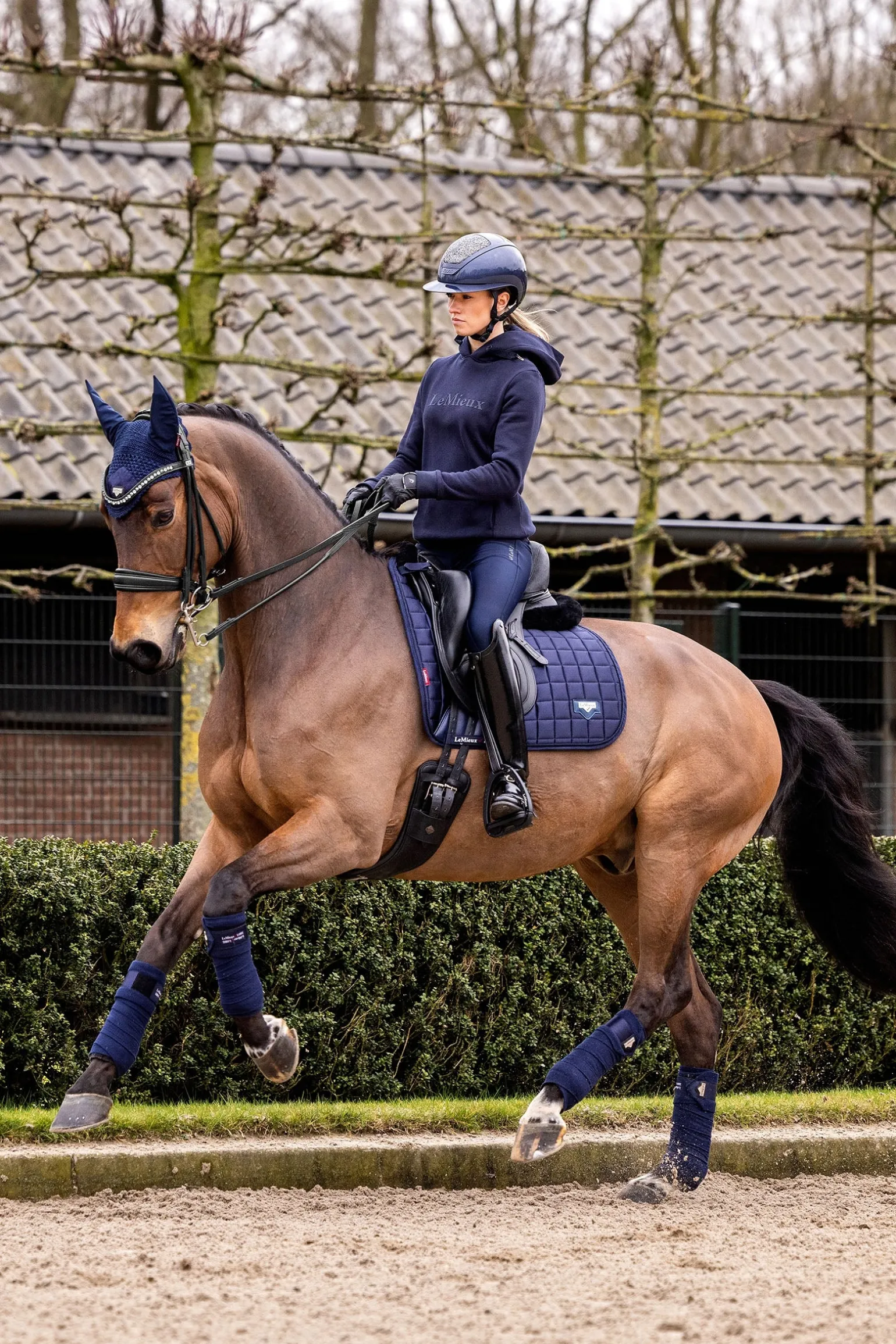 Loire Classic Dressurschabracke