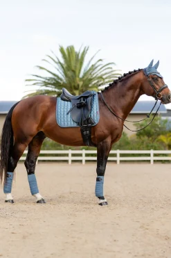 Loire Dressurschabracke