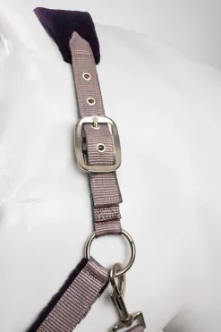 Magic Halfter & Führstrick Set