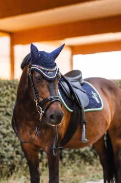 Magical Carousel Part 2 Fliegenhaube