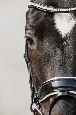 Malibu anatomische Dressur Trense