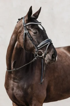 Malibu anatomische Dressur Trense