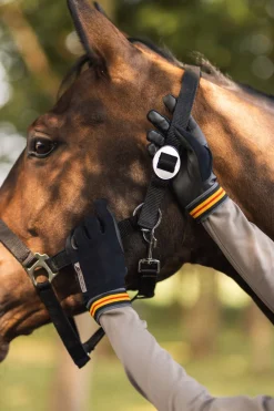 Marielle Ganzjahresreithandschuhe