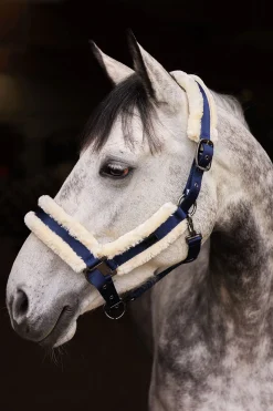 Marquess Halfter mit Kunstfellfutter