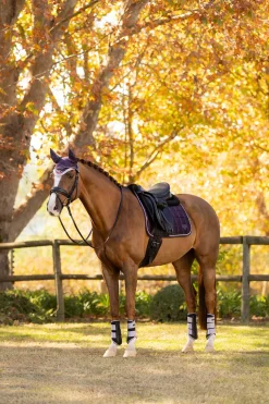 Merino+ Loire Classic Dressur-Satteldecke