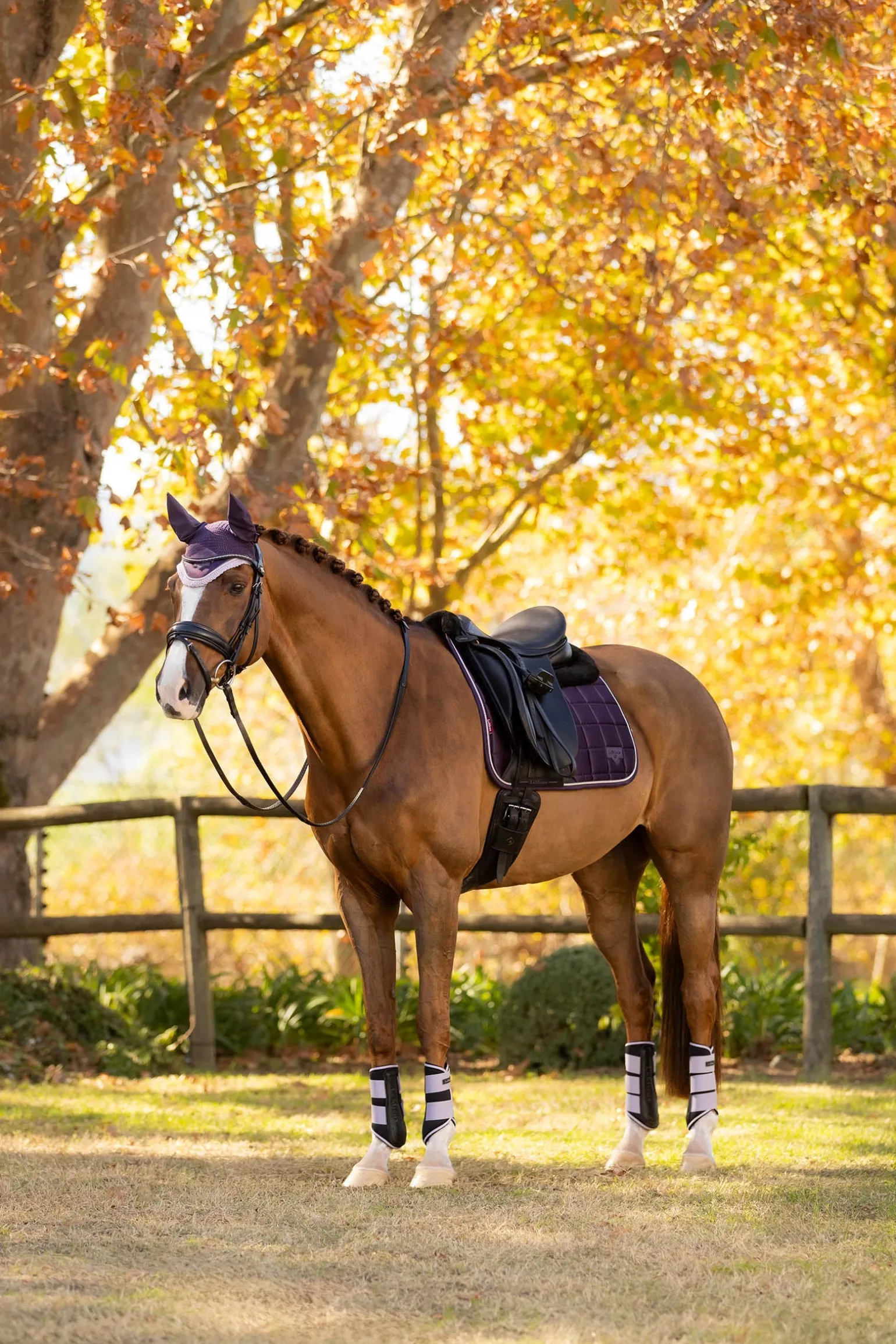 Merino+ Loire Classic Dressur-Satteldecke