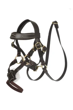 mexikanisches Zaumzeug für Spielzeugpony