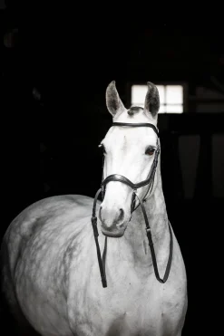 Micklem gebisslose Trense