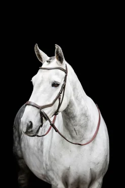 Micklem gebisslose Trense