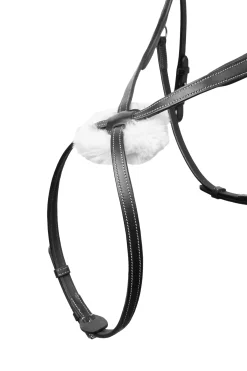 Monterrey Mexikanische Trense