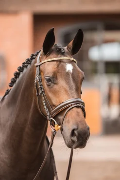 Nancy Stirnriemen mit Kristallen und Flechtdetail