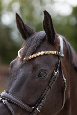 Nature Made Leisure Stirnriemen