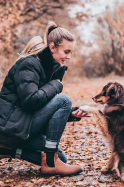 New Work Winter-Stiefeletten Chelsea