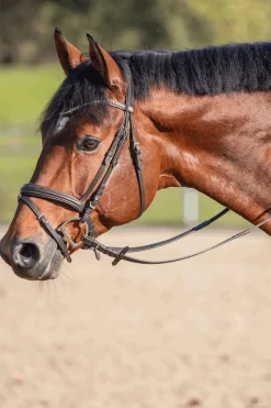 Novocontact Oliv.K.TR. Doppelt Gebr.