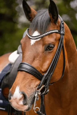 Novocontact Weymouth 14mm Sensogan mit 7cm Edelstahl-Schenkeln