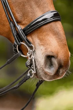 Novocontact Weymouth 14mm Sensogan mit 5cm Edelstahl-Schenkeln