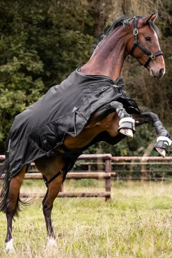 Outdoor Rug Scandic 100g