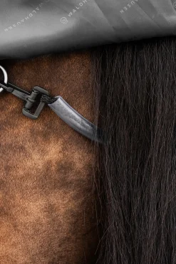 Outdoor Rug Scandic Light