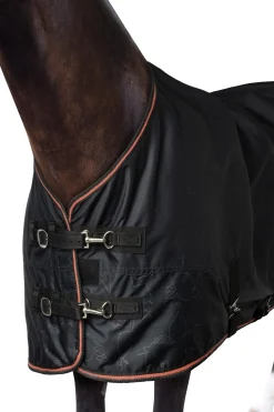 Pegasus Pony Regendecke mit Fleecefutter