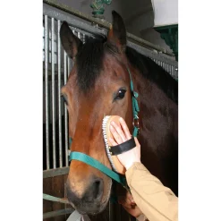 Pferdekardätsche Brush&Co