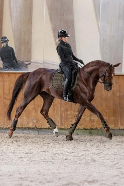 Philadelphia Vielseitigkeitsschabracke