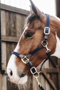 Plaited Nylon Stallhalfter