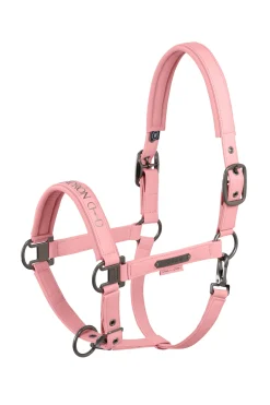 Platinum 25 Doppelte Pin Halfter aus Kunstleder