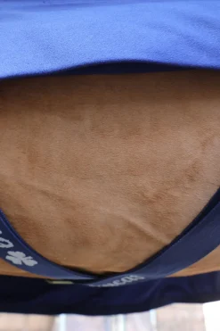 Power Abschwitzdecke