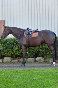 Prime Comfy Fleece Springschabracke