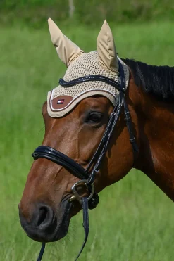 Princeton Fliegenhaube