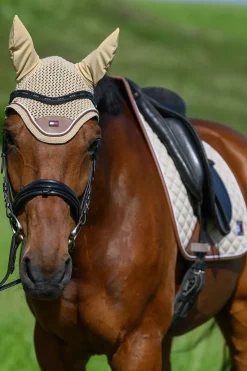 Princeton Fliegenhaube