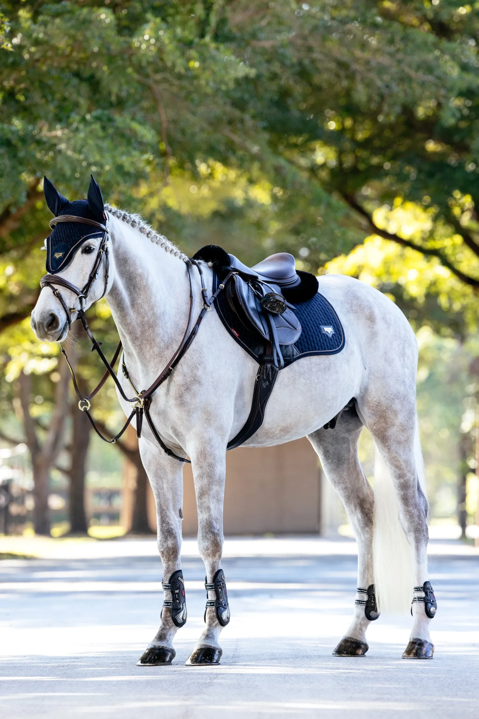 Puissance Close Contact Springschabracke aus Wildlederimitat