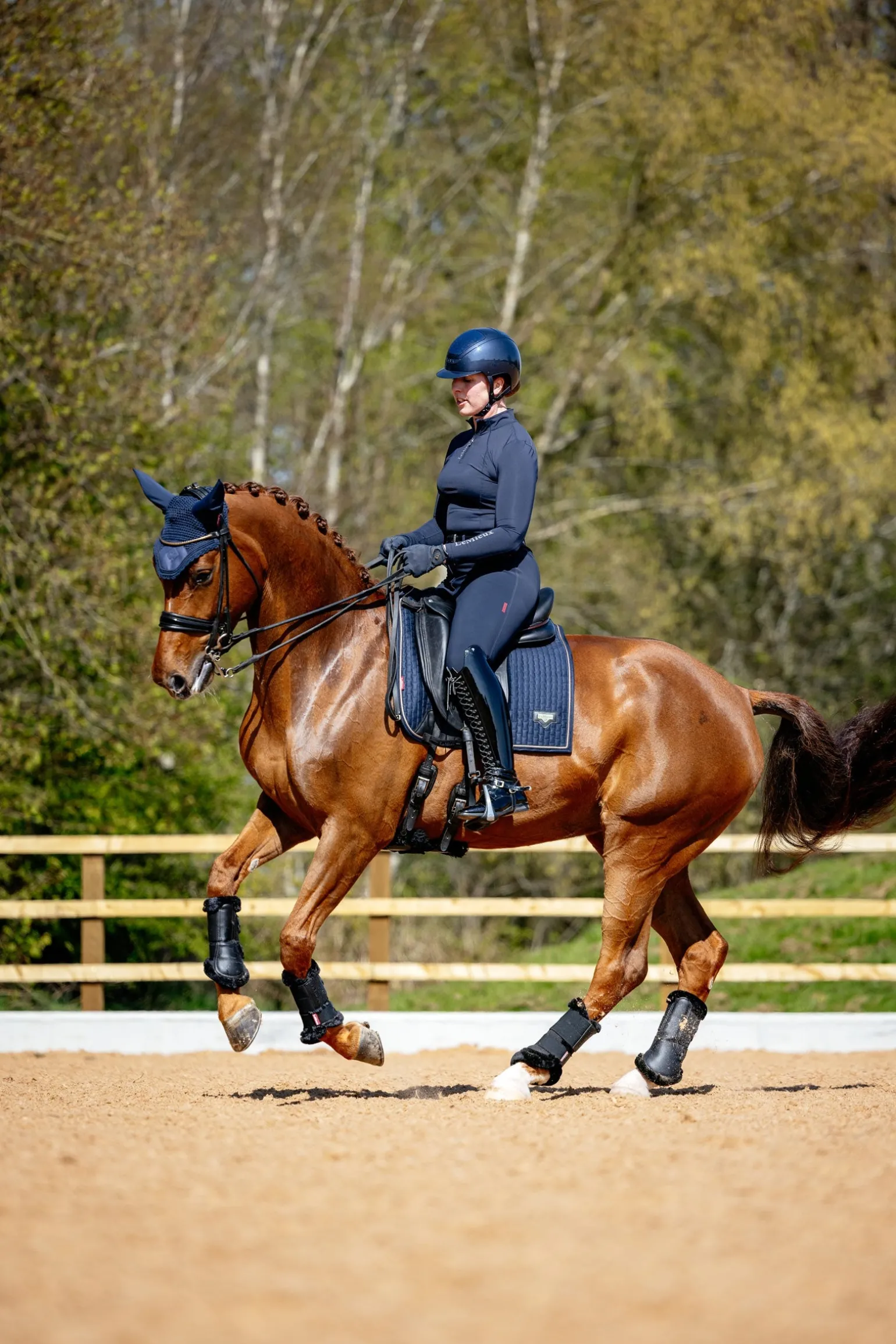 Puissance Dressurschabracke aus Wildlederimitat