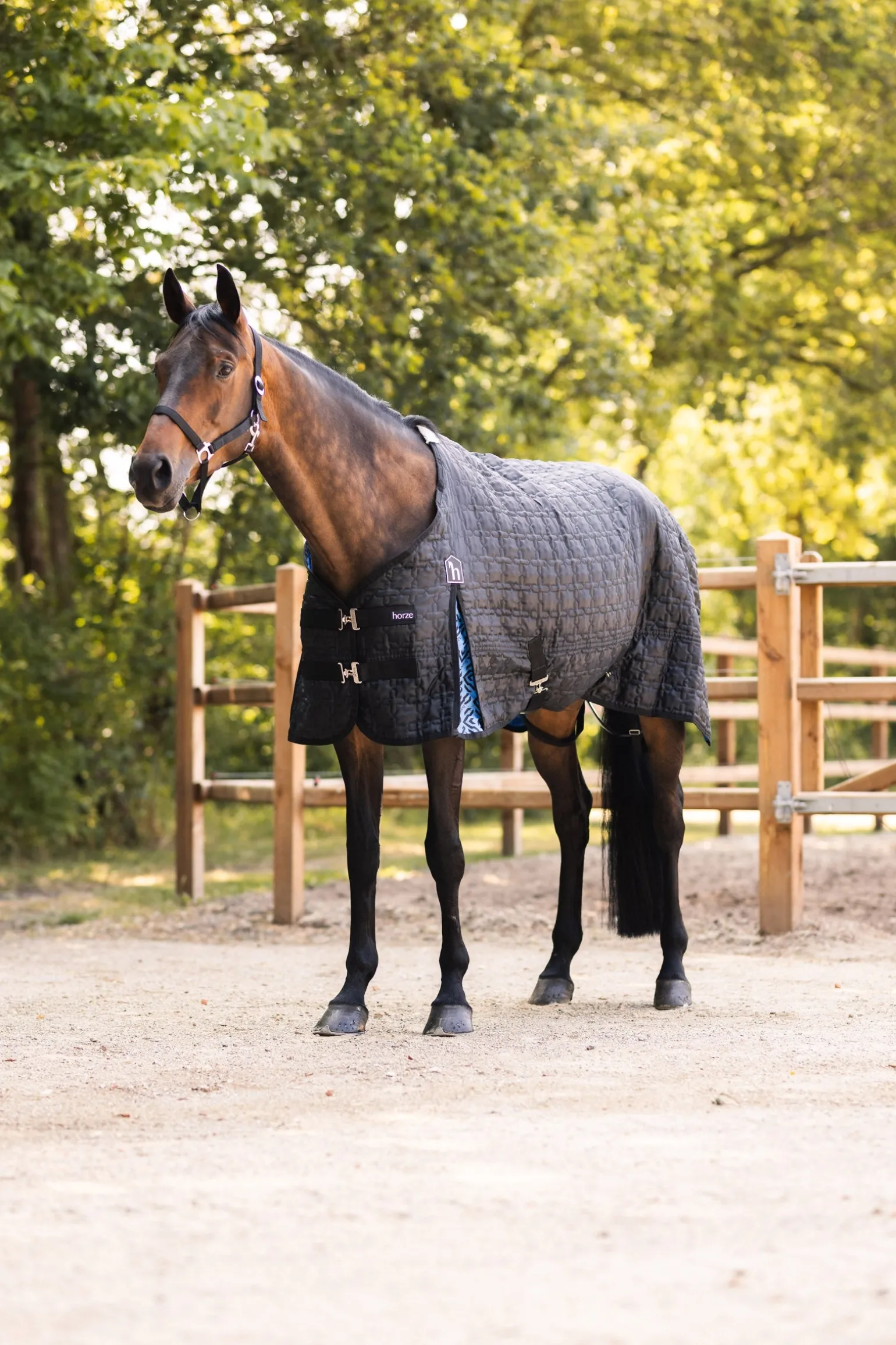 Quebec Stalldecke, 100g