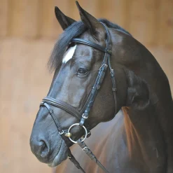 Quentin Ecoline Trense