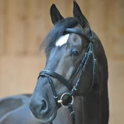 Quentin Ecoline Trense