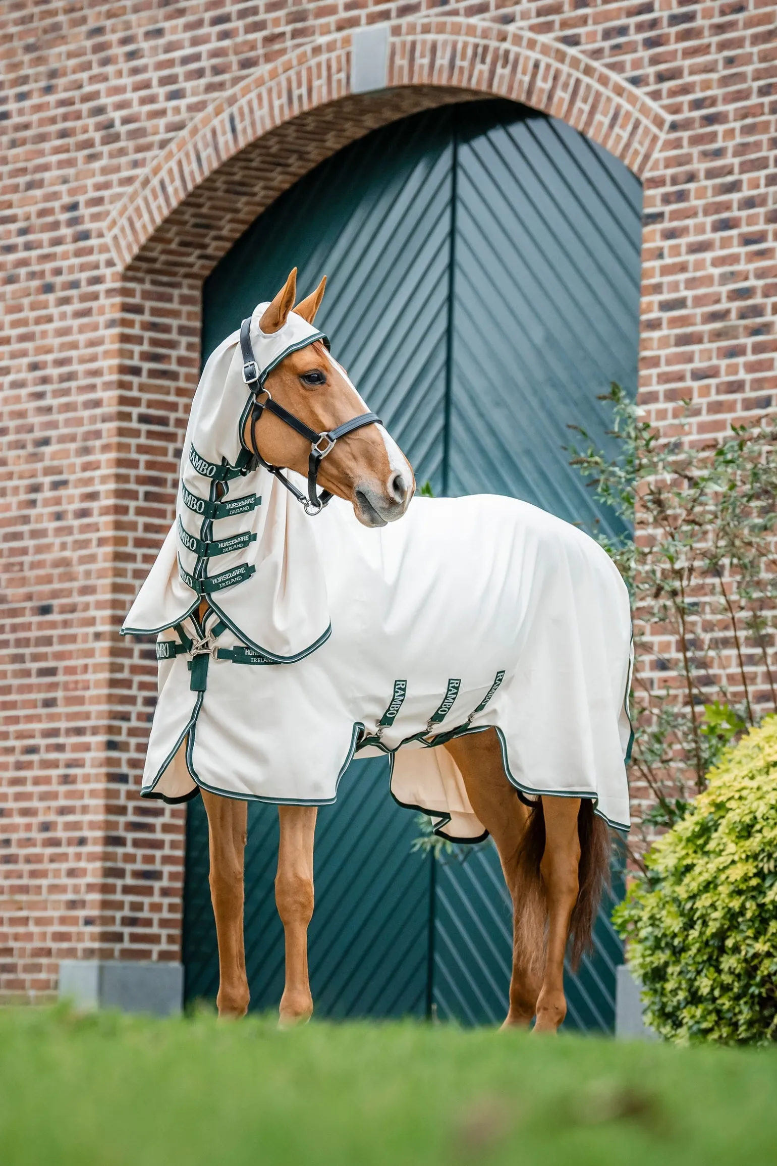 Rambo Hoody Fliegendecke